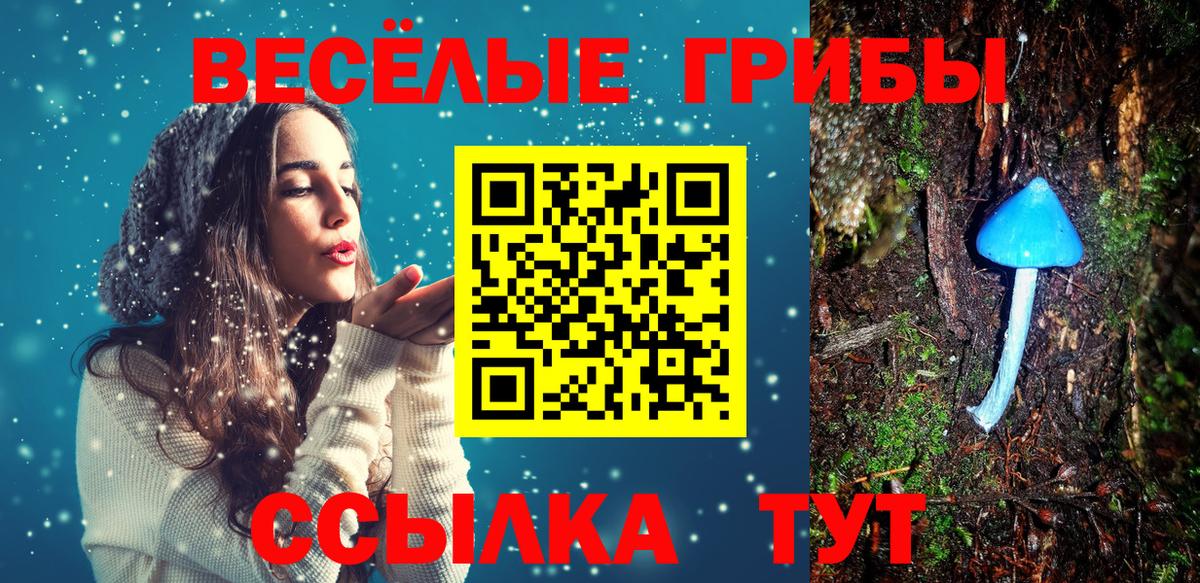 Галлюциногенные грибы Psilocybine cubensis  Вход с VPN  Клин  Псилоцибиновые грибы Cubensis 